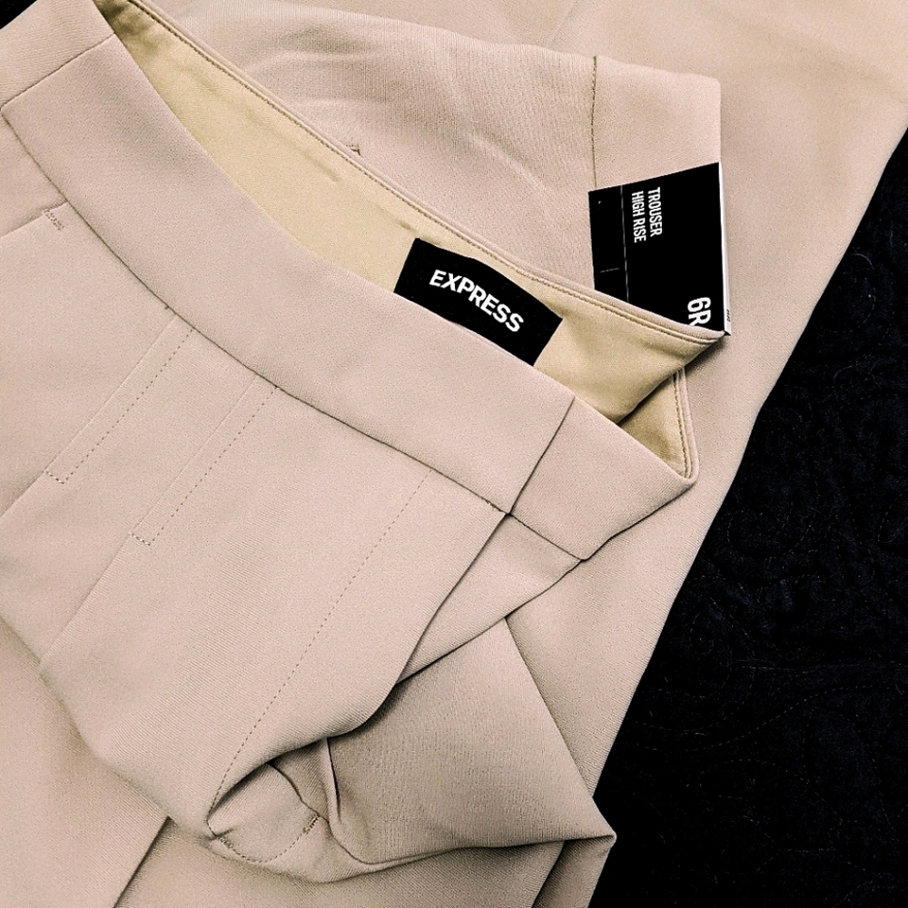 Express High Waisted Pleated Trousers Pants